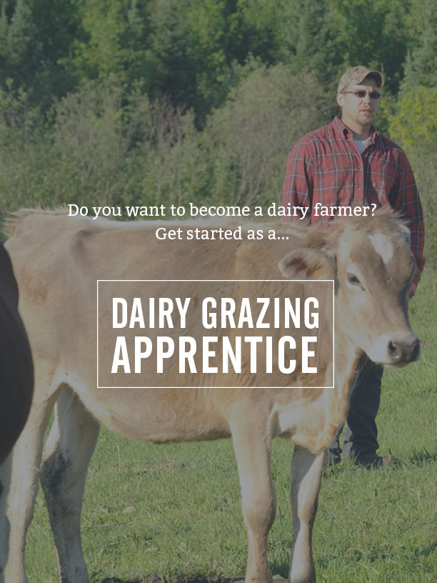 achive your dream. get started as a dairy grazing Apprentice
