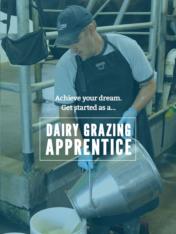 achive your dream. get started as a dairy grazing Apprentice