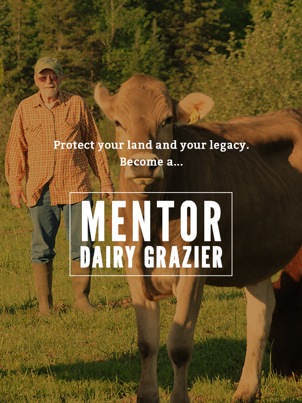 make a difference.  become a Mentor dairy grazier