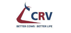 CRV
