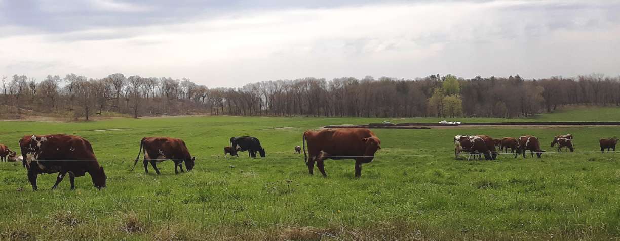 banner image for Wagner Family Farm