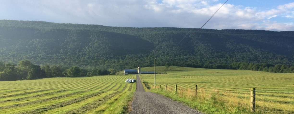 banner image for Hameau Farm in the Big Valley