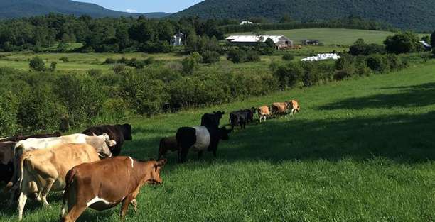 image for Cricket Creek Farm