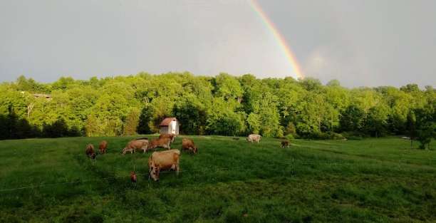 image for Old Ford Farm