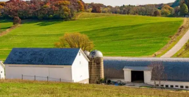 image for Gwenyn Hill Farm