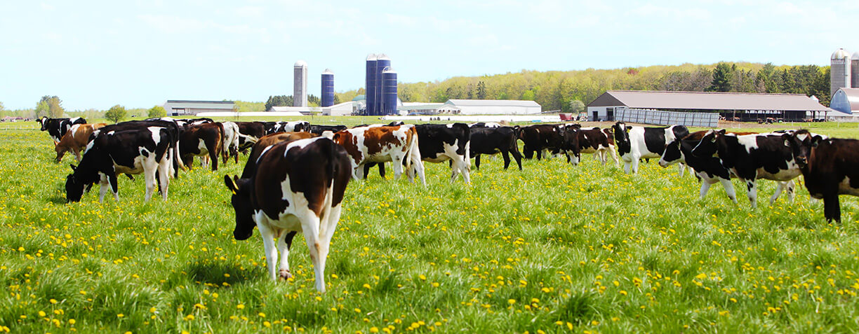 banner image for Featured Farms